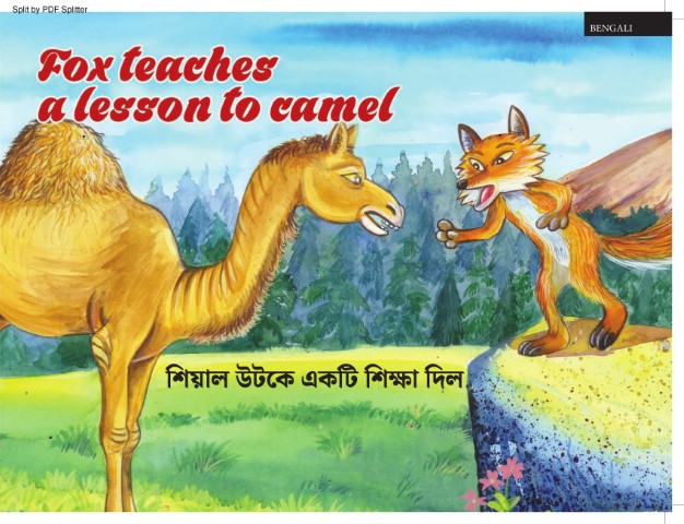 Fox teaches a lesson to camel